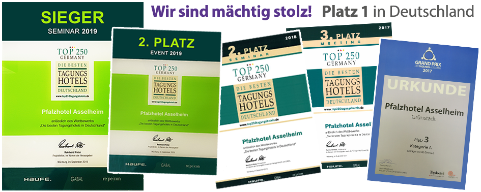 Platz 2 Top250-Pfalzhotel Asselheim